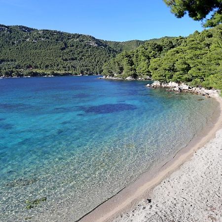 Apartments With A Parking Space Zuljana, Peljesac - 4573 Εξωτερικό φωτογραφία