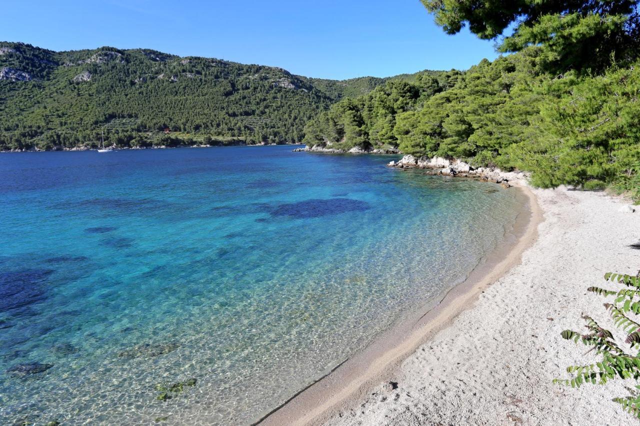 Apartments With A Parking Space Zuljana, Peljesac - 4573 Εξωτερικό φωτογραφία